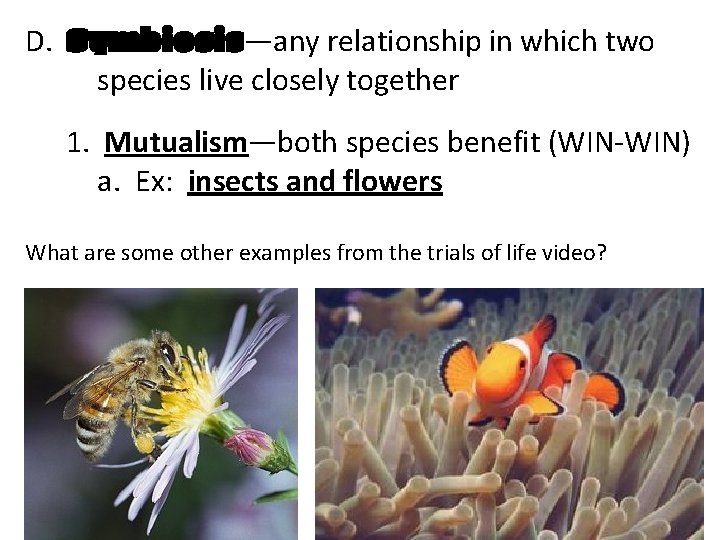 D. Symbiosis—any relationship in which two species live closely together 1. Mutualism—both species benefit