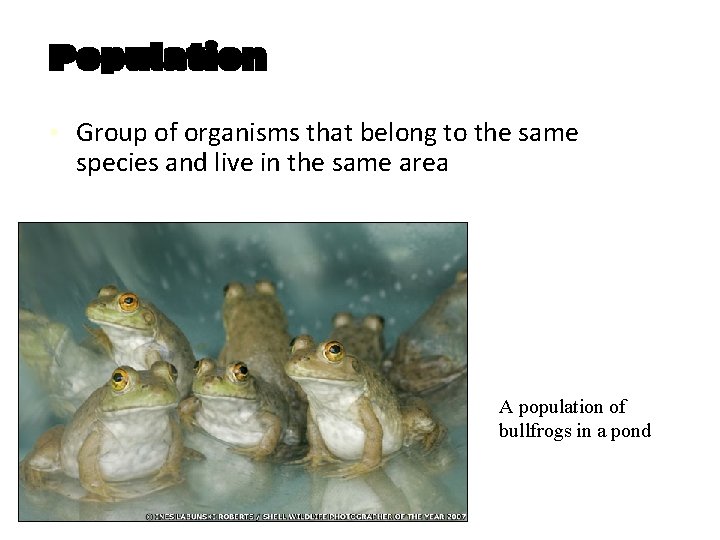 Population ▪ Group of organisms that belong to the same species and live in