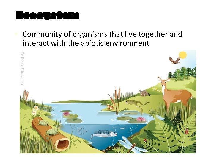 Ecosystem ▪ Community of organisms that live together and interact with the abiotic environment