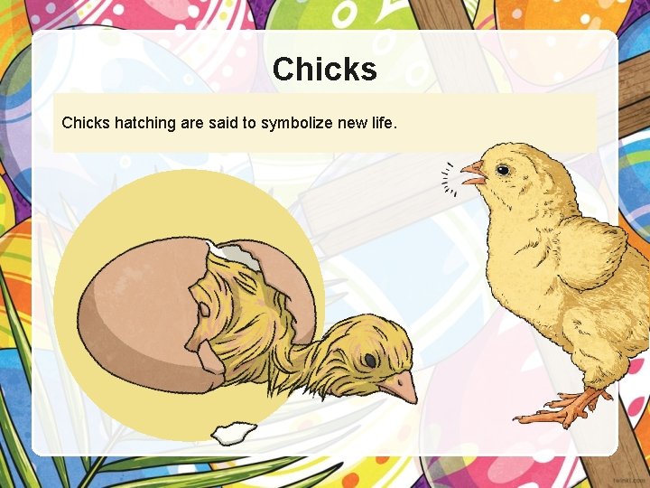 Chicks hatching are said to symbolize new life. 