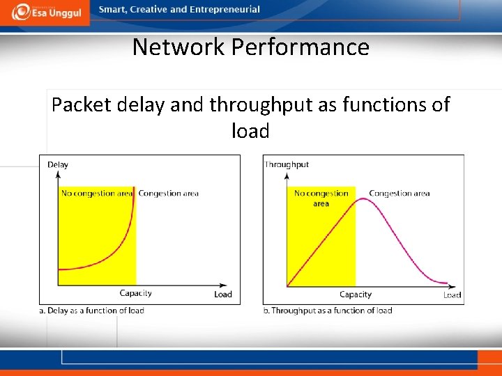 Network Performance Packet delay and throughput as functions of load 