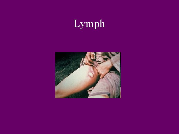Lymph 