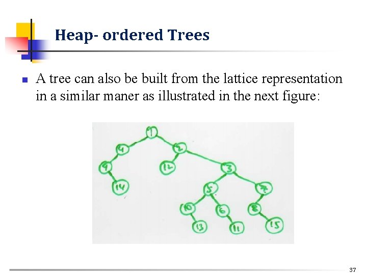 Heap- ordered Trees n A tree can also be built from the lattice representation