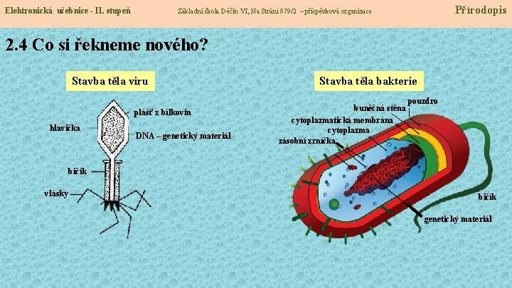 Elektronická učebnice - II. stupeň Přírodopis Základní škola Děčín VI, Na Stráni 879/2 –