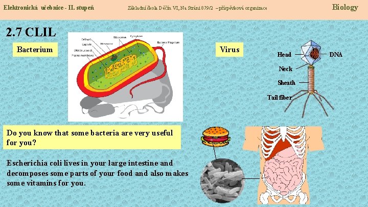 Elektronická učebnice - II. stupeň Biology Základní škola Děčín VI, Na Stráni 879/2 –