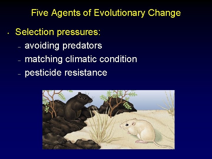 Five Agents of Evolutionary Change • Selection pressures: – avoiding predators – matching climatic