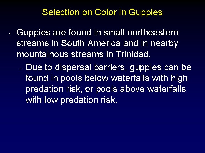 Selection on Color in Guppies • Guppies are found in small northeastern streams in