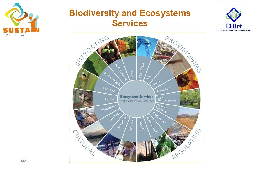 The Role of Business in Biodiversity Conservation IUCN