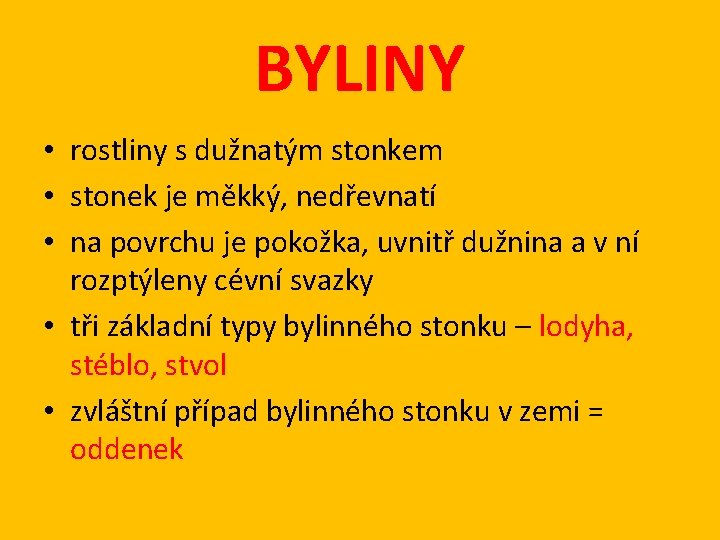 BYLINY • rostliny s dužnatým stonkem • stonek je měkký, nedřevnatí • na povrchu