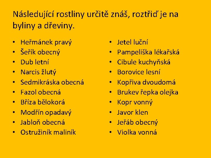Následující rostliny určitě znáš, roztřiď je na byliny a dřeviny. • • • Heřmánek
