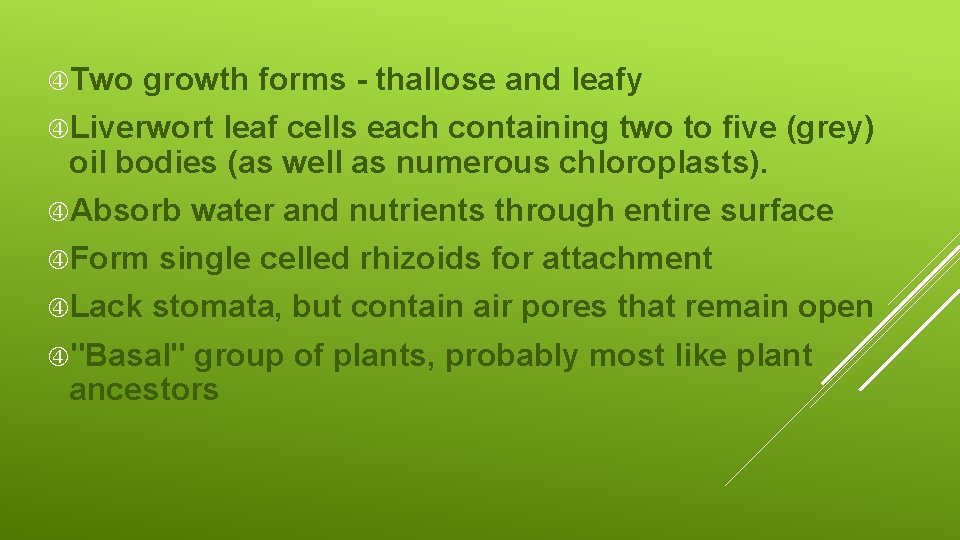  Two growth forms - thallose and leafy Liverwort leaf cells each containing two