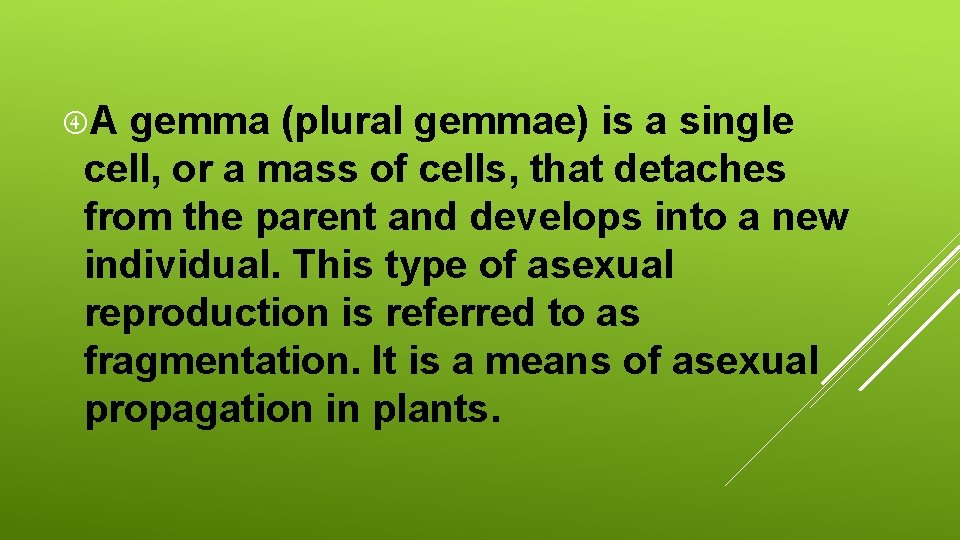  A gemma (plural gemmae) is a single cell, or a mass of cells,