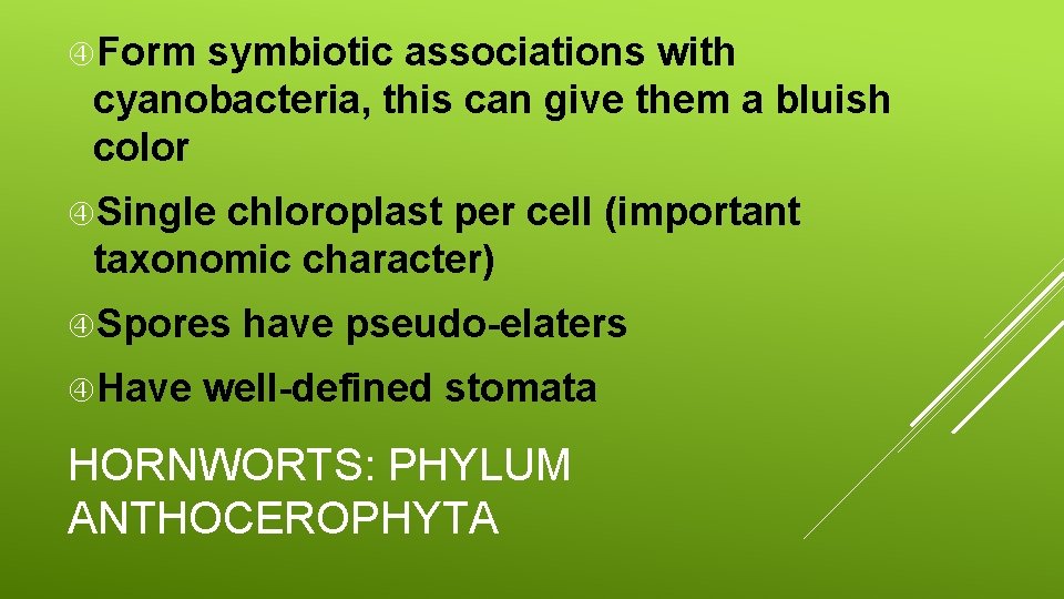  Form symbiotic associations with cyanobacteria, this can give them a bluish color Single