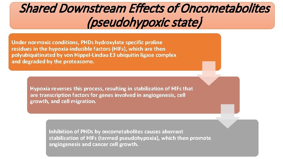 Shared Downstream Effects of Oncometabolites (pseudohypoxic state) Under normoxic conditions, PHDs hydroxylate specific proline