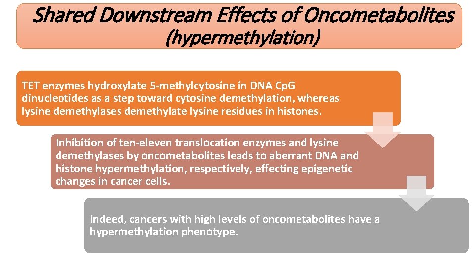 Shared Downstream Effects of Oncometabolites (hypermethylation) TET enzymes hydroxylate 5 -methylcytosine in DNA Cp.