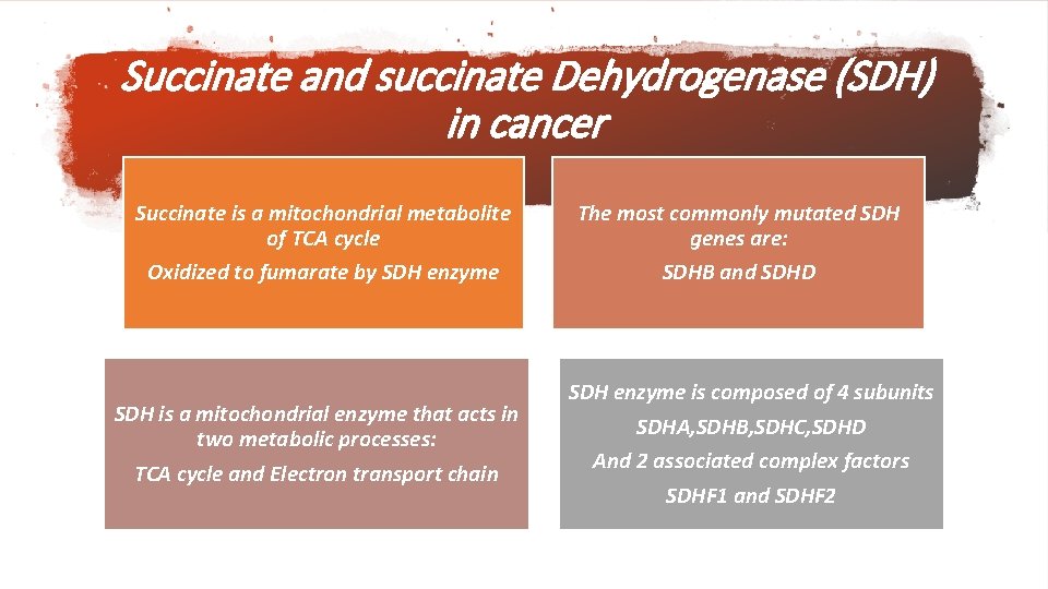 Succinate and succinate Dehydrogenase (SDH) in cancer Succinate is a mitochondrial metabolite of TCA