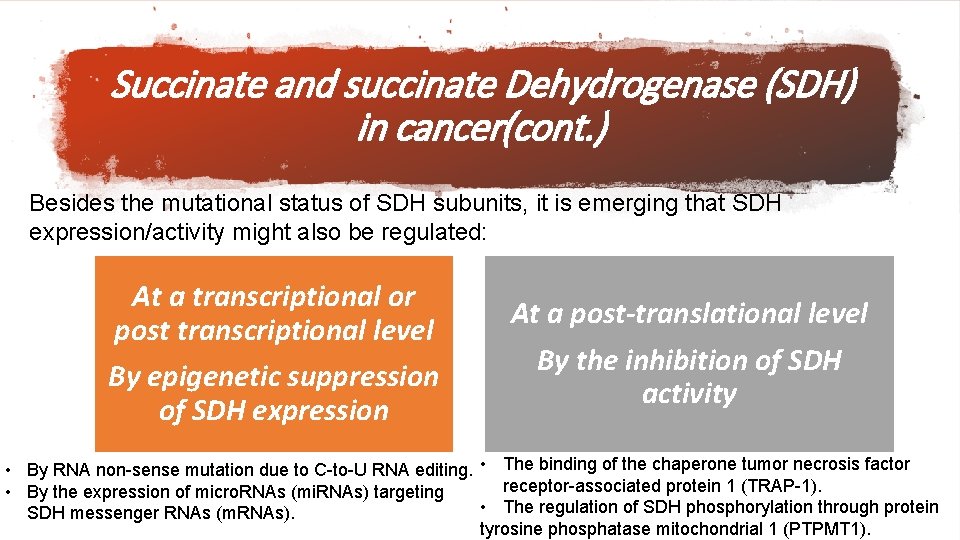 Succinate and succinate Dehydrogenase (SDH) in cancer(cont. ) Besides the mutational status of SDH