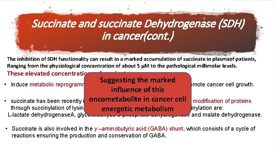 Succinate and succinate Dehydrogenase (SDH) in cancer(cont. ) The inhibition of SDH functionality can