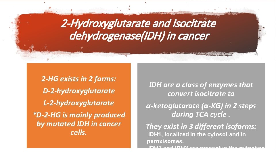 2 -Hydroxyglutarate and Isocitrate dehydrogenase(IDH) in cancer 2 -HG exists in 2 forms: D-2