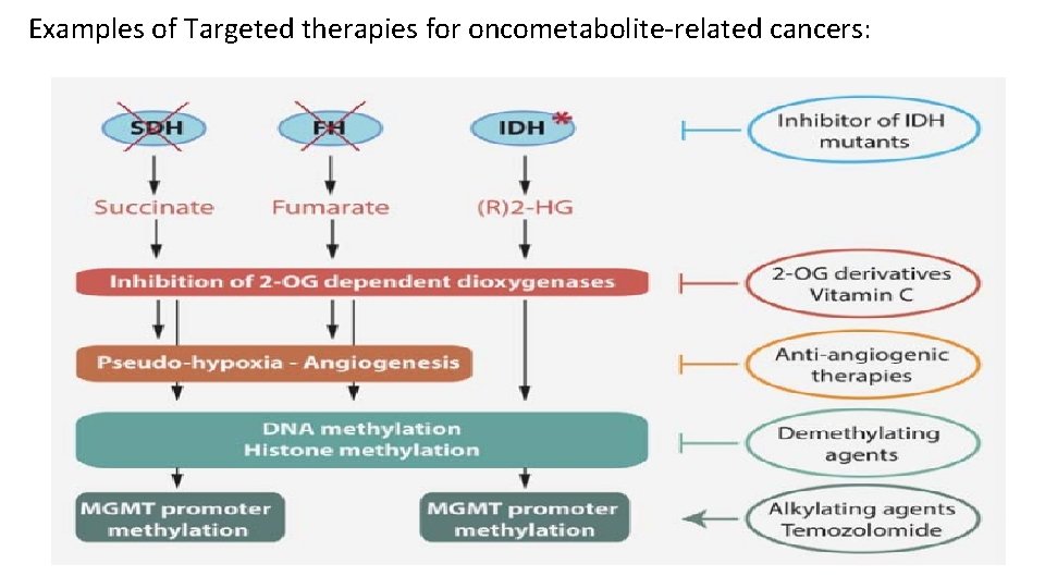Examples of Targeted therapies for oncometabolite‐related cancers: 