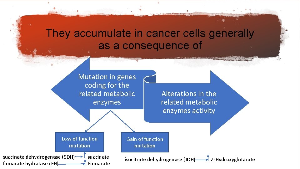 They accumulate in cancer cells generally as a consequence of Mutation in genes coding