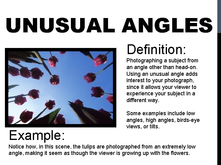 UNUSUAL ANGLES Definition: Photographing a subject from an angle other than head-on. Using an