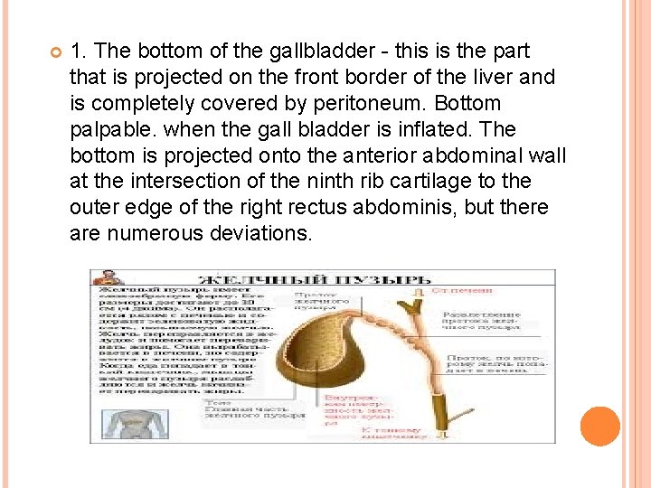  1. The bottom of the gallbladder - this is the part that is