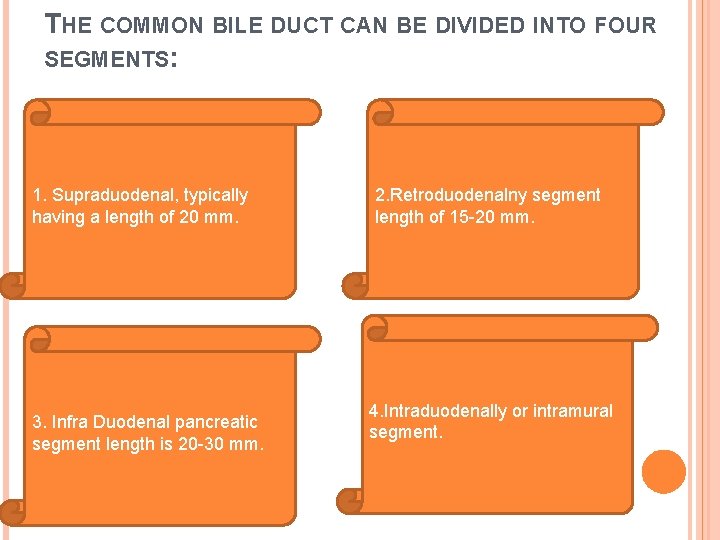 THE COMMON BILE DUCT CAN BE DIVIDED INTO FOUR SEGMENTS: 1. Supraduodenal, typically having