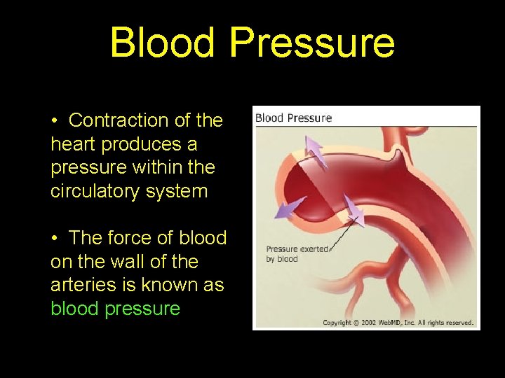 Blood Pressure • Contraction of the heart produces a pressure within the circulatory system