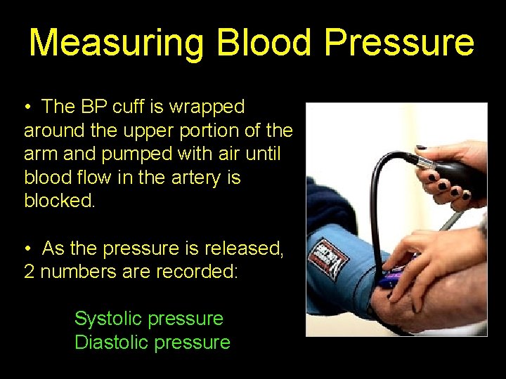 Measuring Blood Pressure • The BP cuff is wrapped around the upper portion of