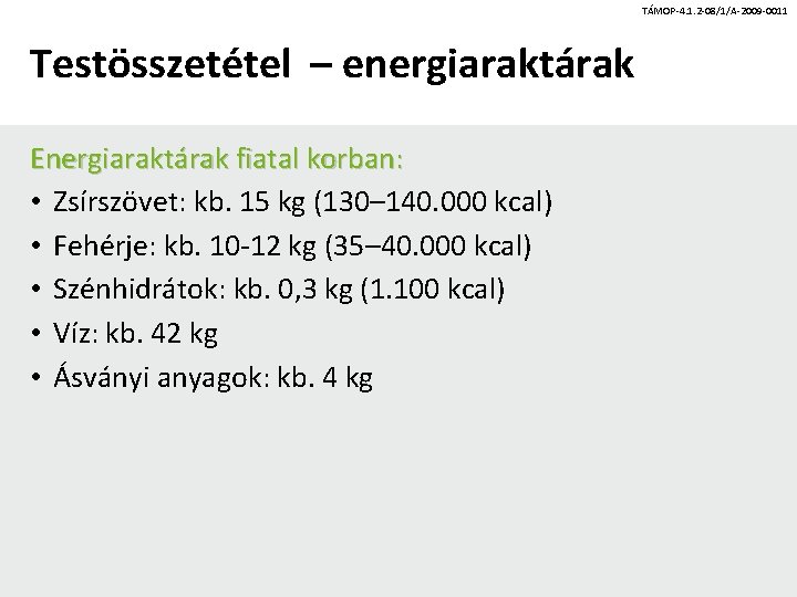 TÁMOP-4. 1. 2 -08/1/A-2009 -0011 Testösszetétel – energiaraktárak Energiaraktárak fiatal korban: • Zsírszövet: kb.