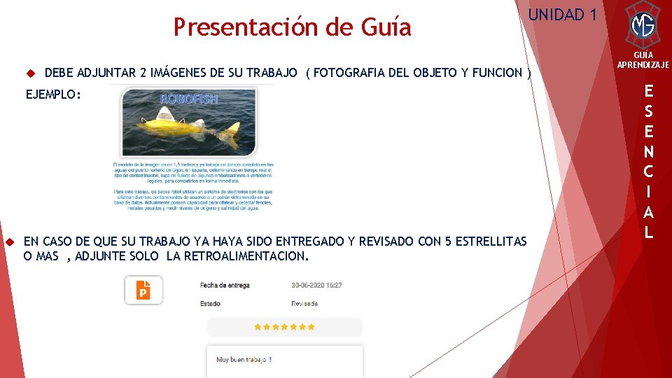 Presentación de Guía DEBE ADJUNTAR 2 IMÁGENES DE SU TRABAJO ( FOTOGRAFIA DEL OBJETO