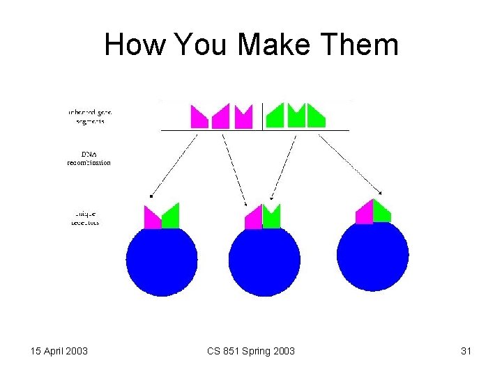 How You Make Them 15 April 2003 CS 851 Spring 2003 31 