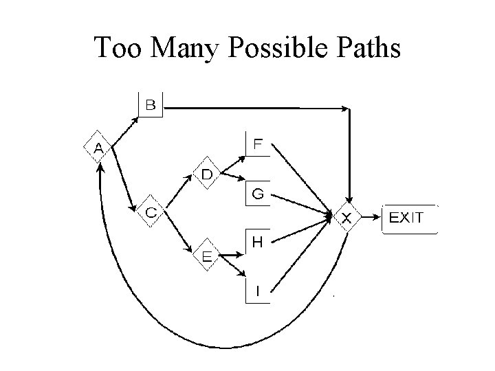 Too Many Possible Paths 