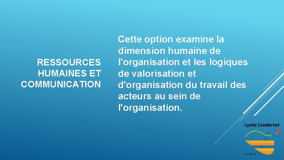 RESSOURCES HUMAINES ET COMMUNICATION Cette option examine la dimension humaine de l'organisation et les