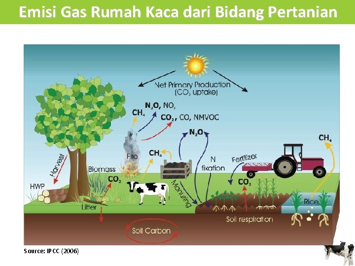 Emisi Gas Rumah Kaca dari Bidang Pertanian Source: IPCC (2006) 