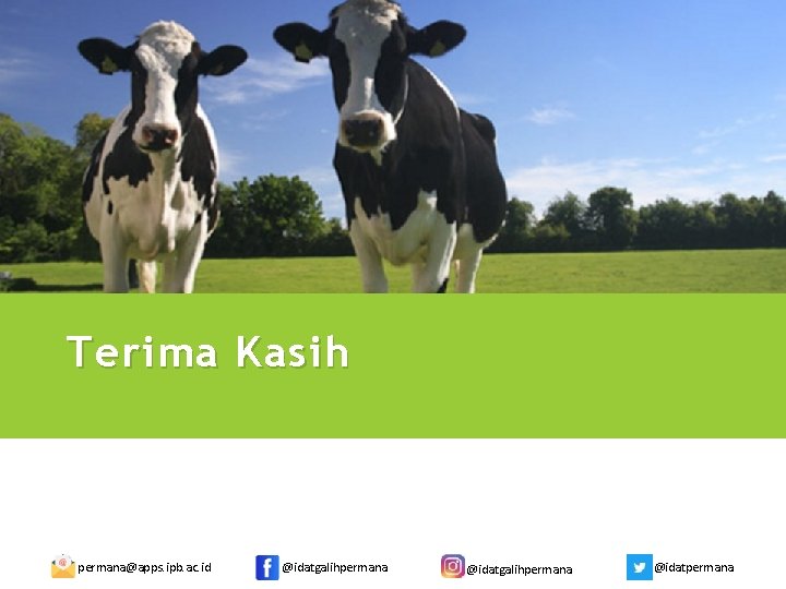 Terima Kasih permana@apps. ipb. ac. id @idatgalihpermana @idatpermana 