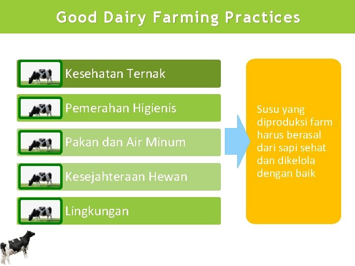 Good Dairy Farming Practices Kesehatan Ternak Pemerahan Higienis Pakan dan Air Minum Kesejahteraan Hewan