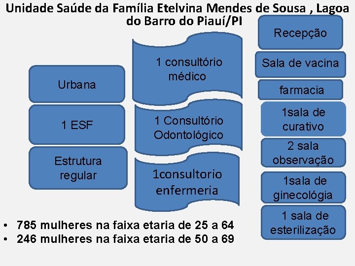 Unidade Saúde da Família Etelvina Mendes de Sousa , Lagoa do Barro do Piauí/PI