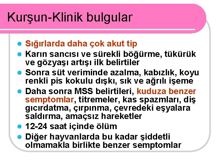 Kurşun-Klinik bulgular l l l Sığırlarda daha çok akut tip Karın sancısı ve sürekli