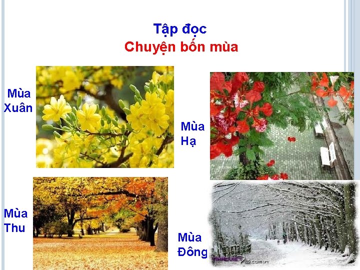 Tập đọc Chuyện bốn mùa Mùa Xuân Mùa Hạ Mùa Thu Mùa Đông 