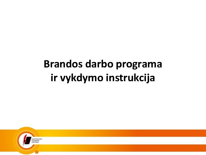 Brandos darbo programa ir vykdymo instrukcija 