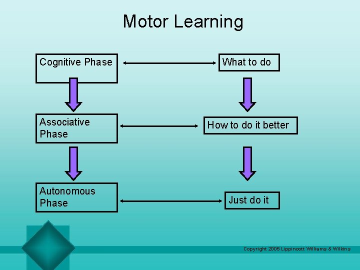 Motor Learning Cognitive Phase What to do Associative Phase How to do it better