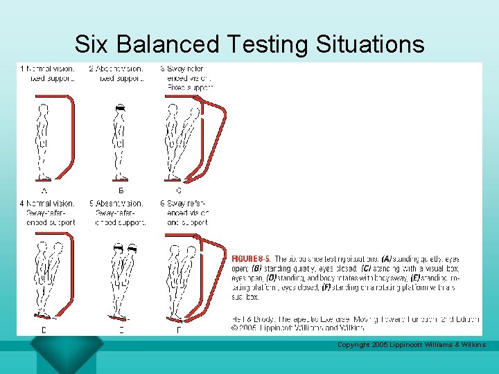 Six Balanced Testing Situations Copyright 2005 Lippincott Williams & Wilkins 
