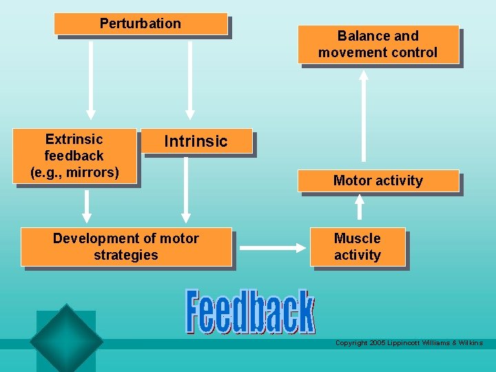 Perturbation Extrinsic feedback (e. g. , mirrors) Balance and movement control Intrinsic Development of