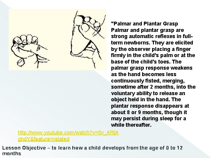 "Palmar and Plantar Grasp Palmar and plantar grasp are strong automatic reflexes in fullterm