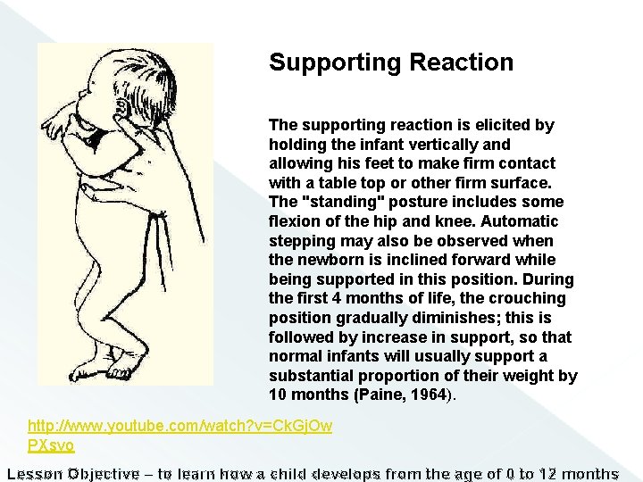 Supporting Reaction The supporting reaction is elicited by holding the infant vertically and allowing