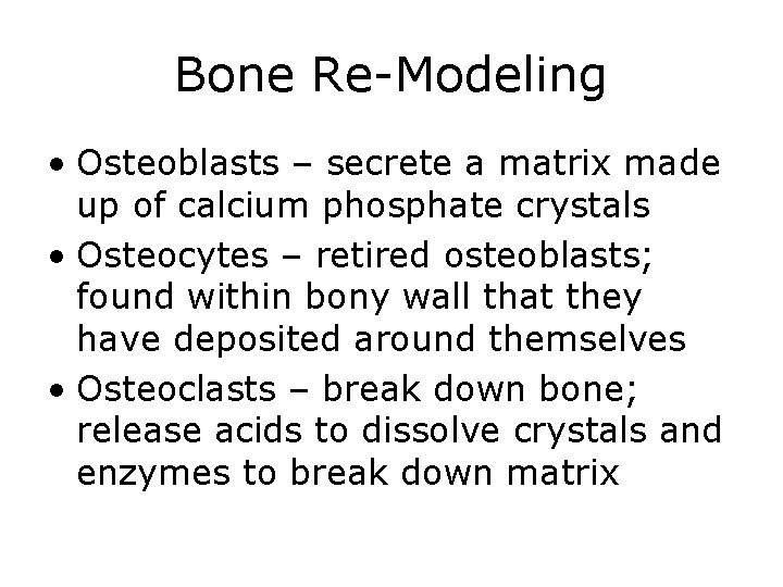 Bone Re-Modeling • Osteoblasts – secrete a matrix made up of calcium phosphate crystals