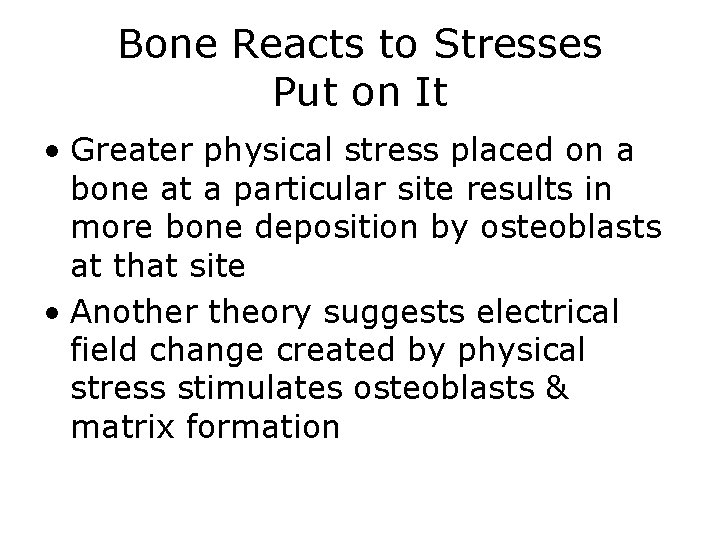 Bone Reacts to Stresses Put on It • Greater physical stress placed on a