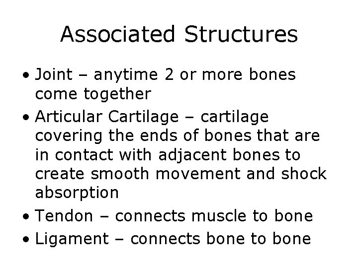 Associated Structures • Joint – anytime 2 or more bones come together • Articular